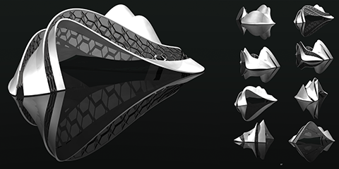 This organic form was designed in the program Rhino3D to study the limitations of 3D printers and geometric integrity.